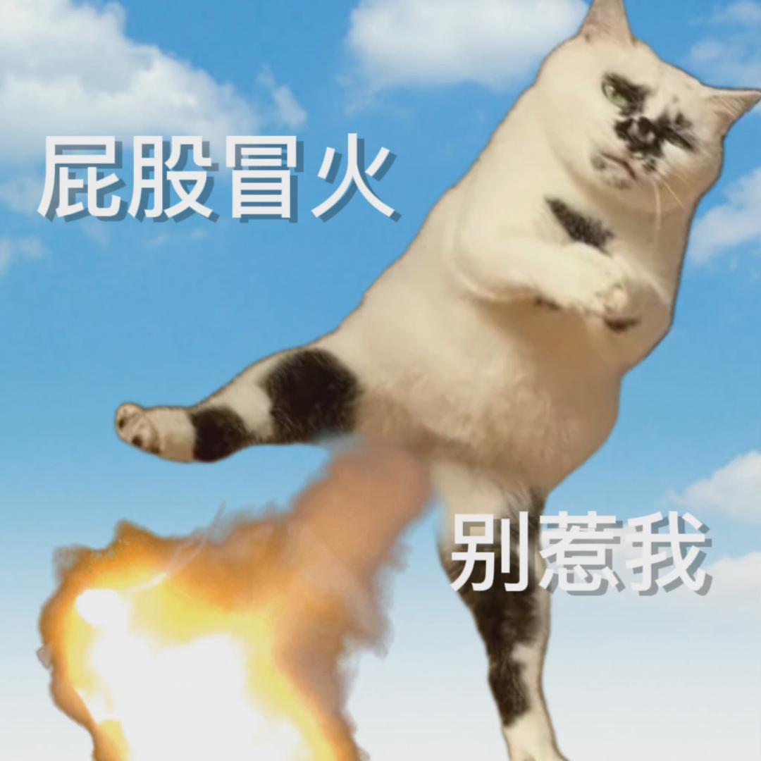 棒槌i