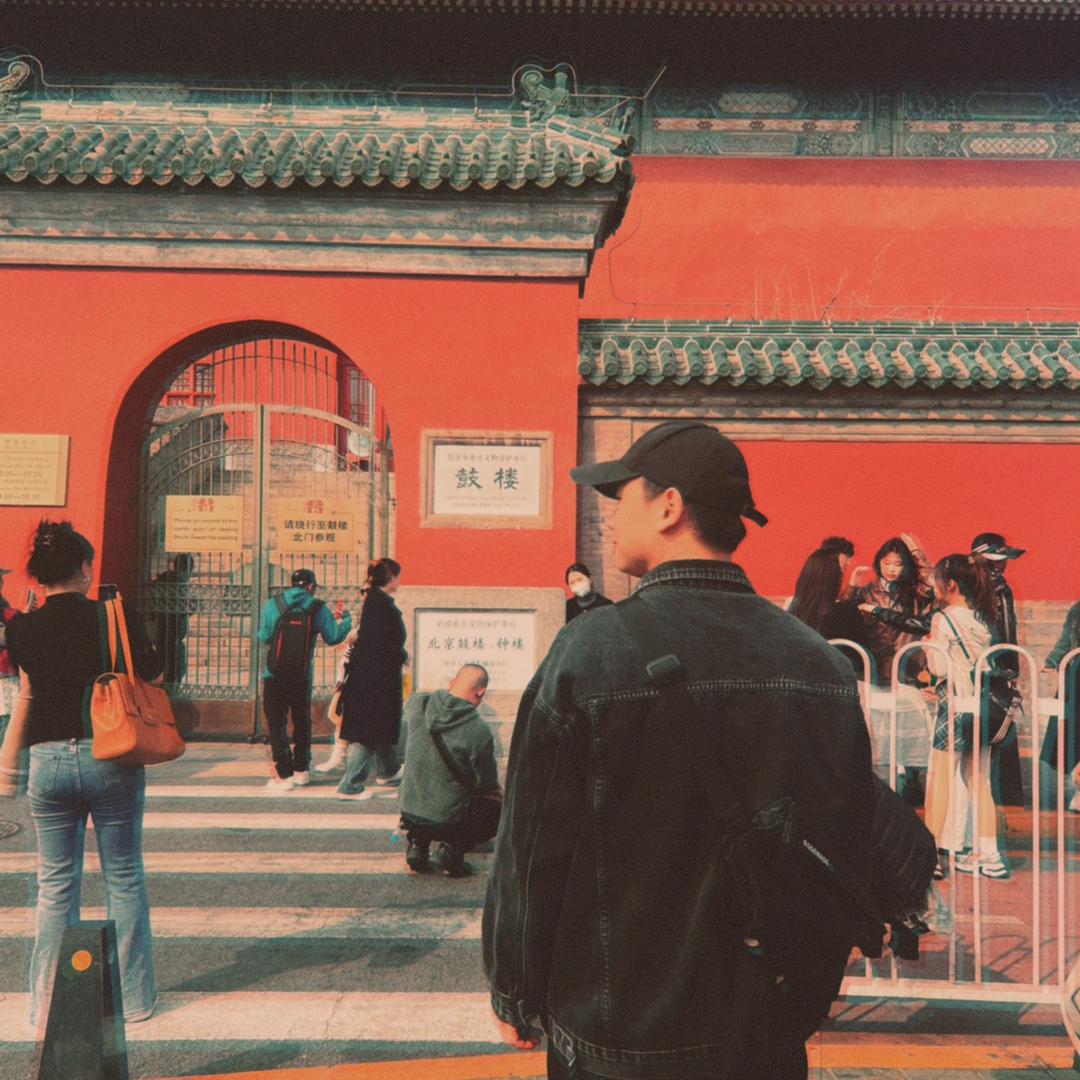 老槐树