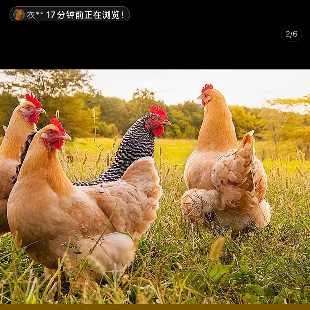 金勺农业小铺