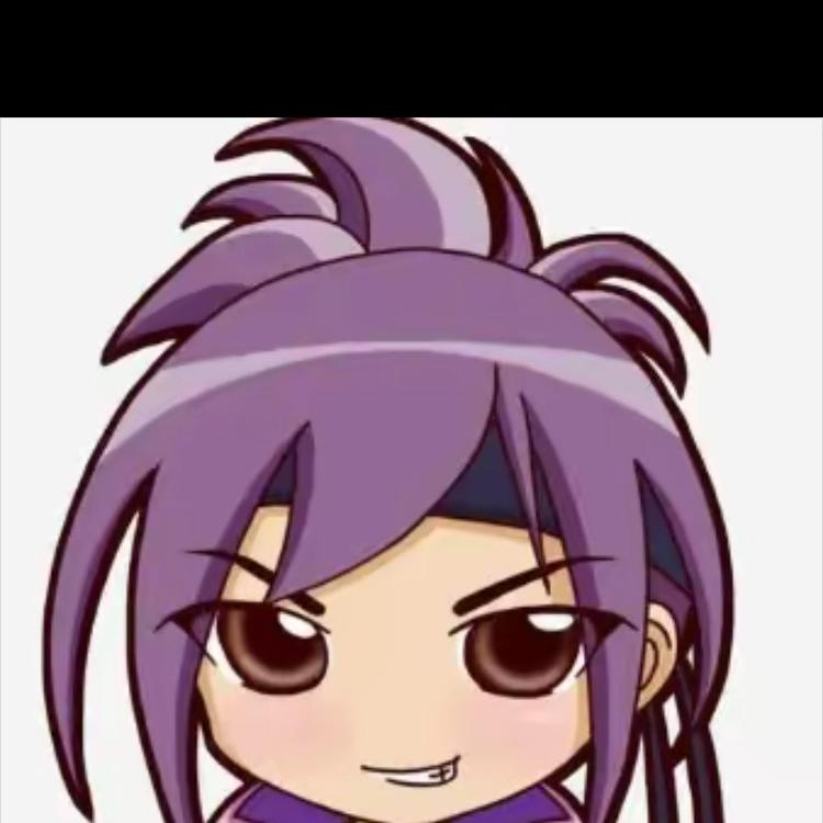 湖北源星嘉网络科技有限公司