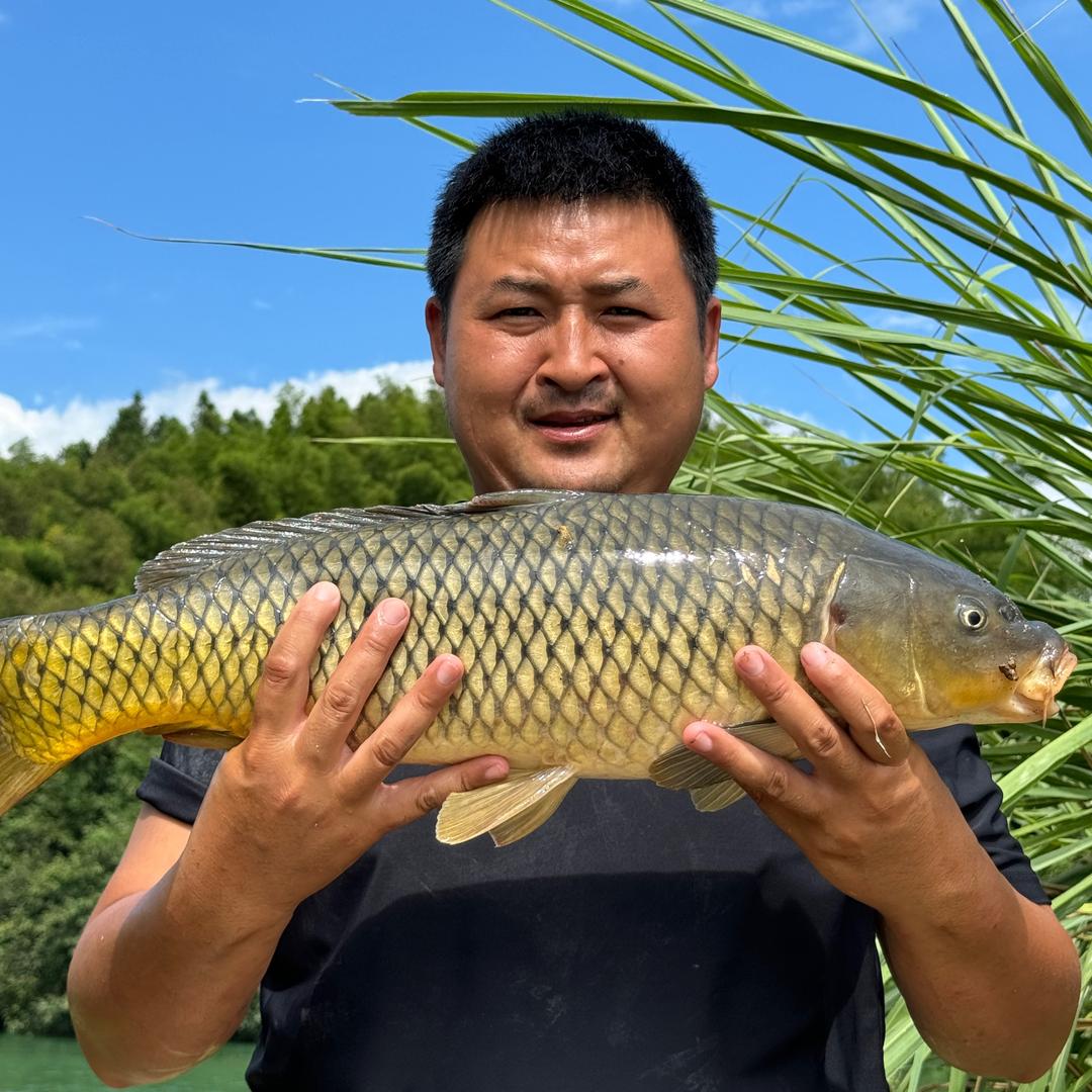 小西钓鱼🎣