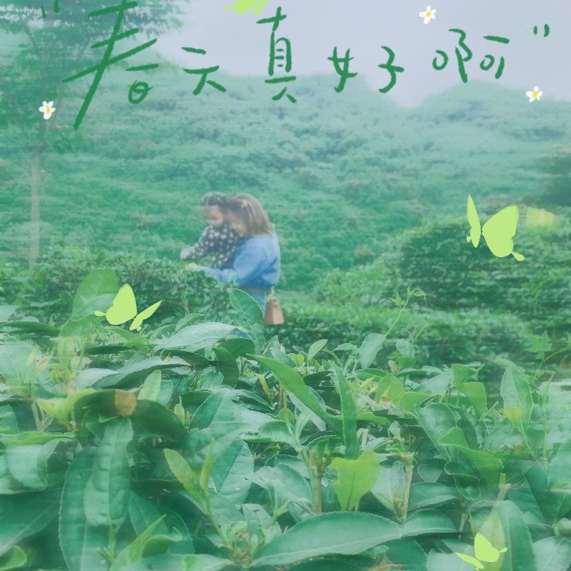 书儿