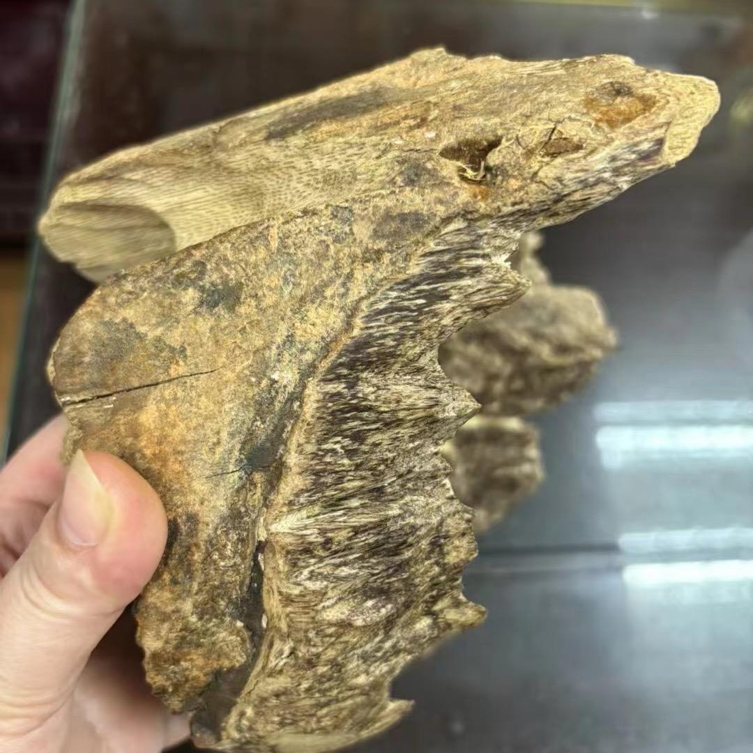 月朗星稀一号