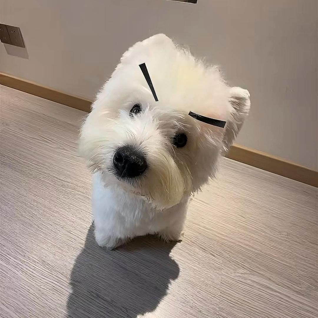 你好我是小孙