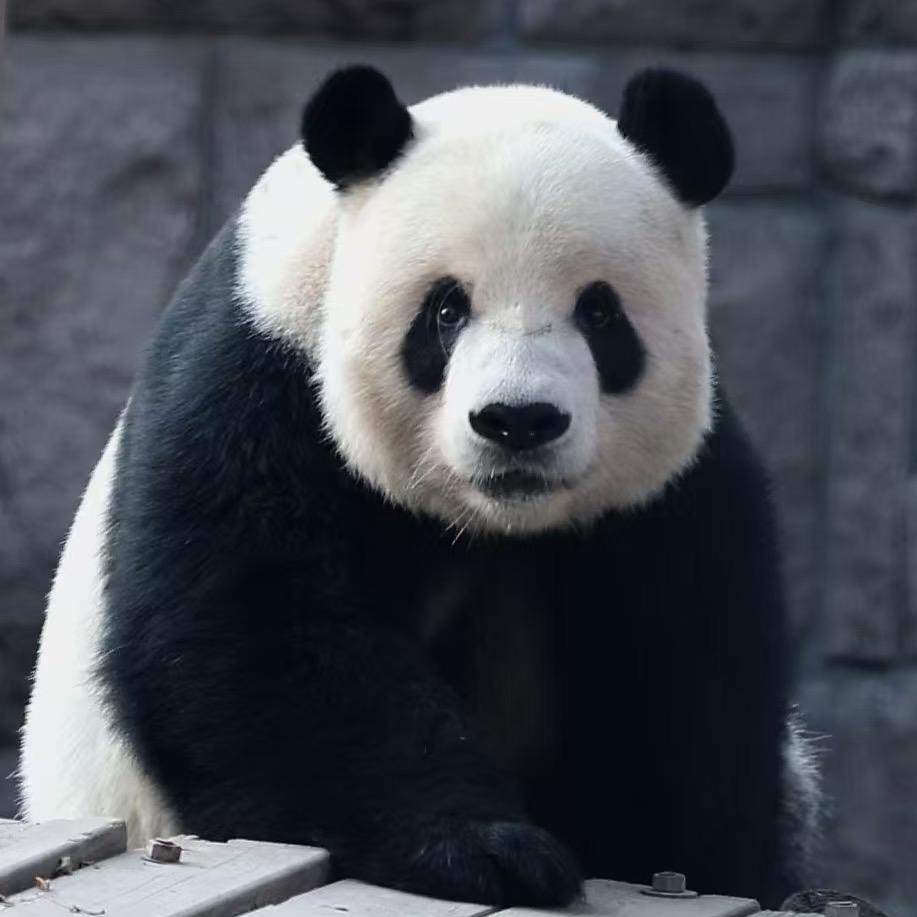 快乐小二