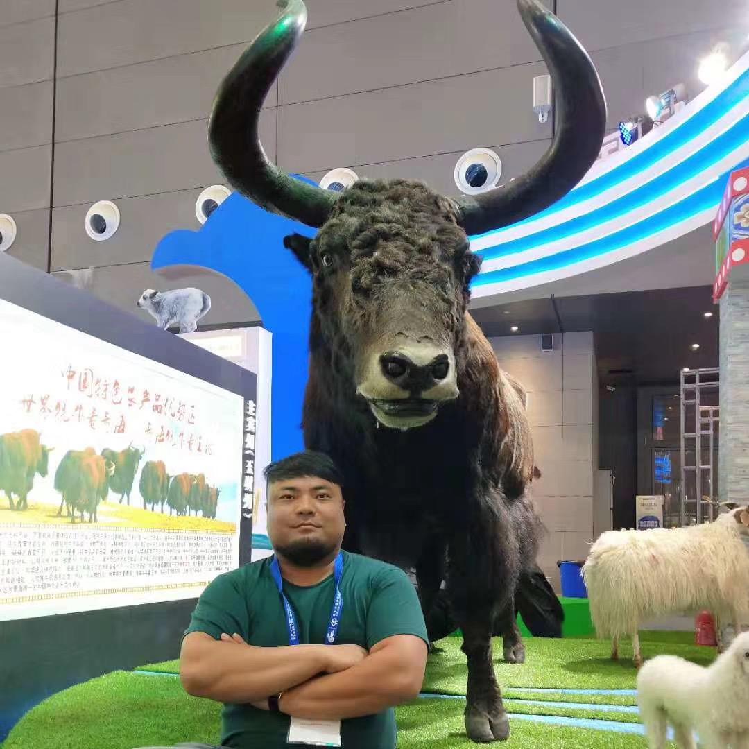 黑黑的大块头（黑牛）