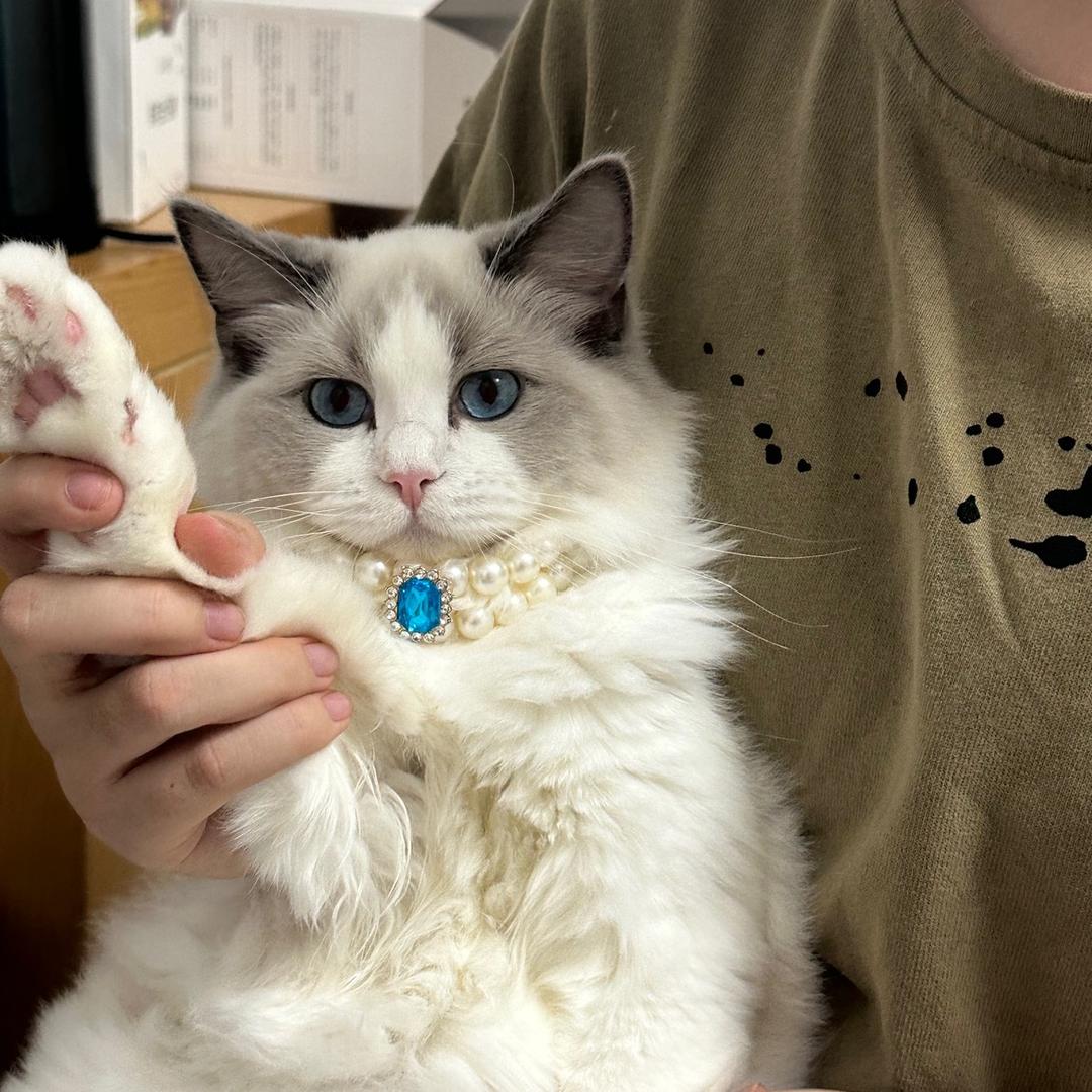 小依满♡