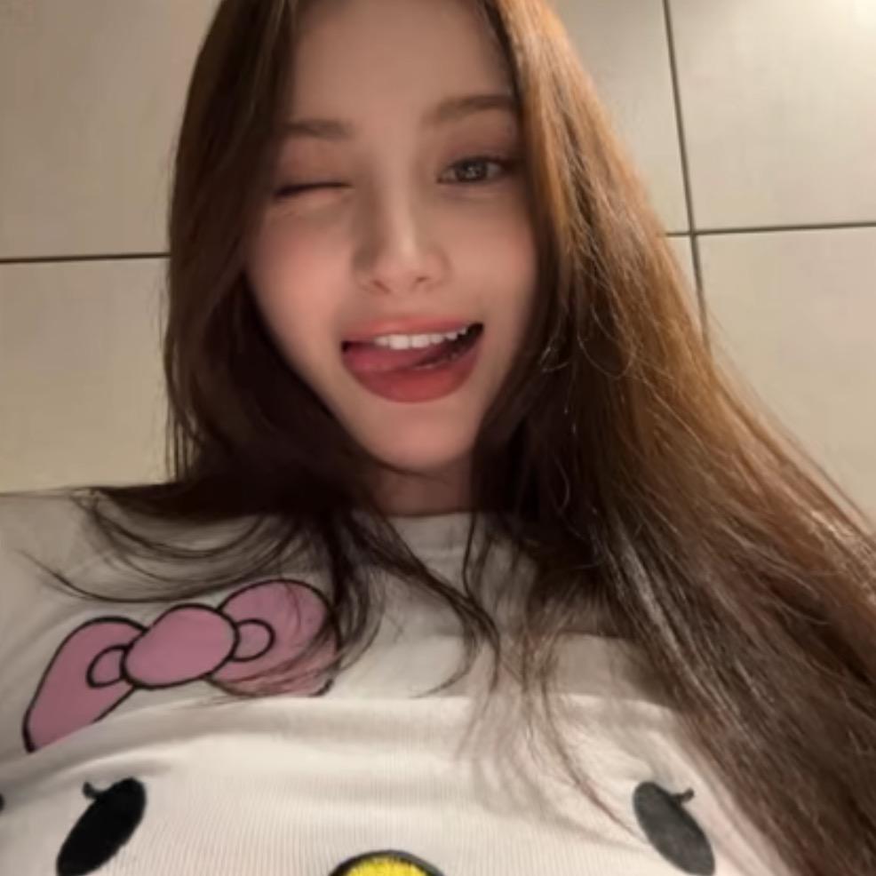 一只鸡排
