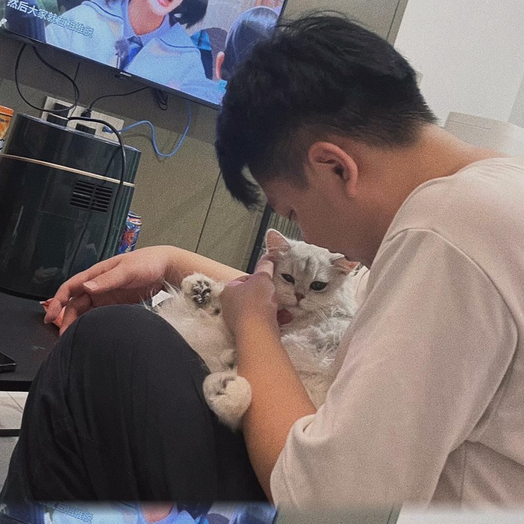 周先生和猫小只