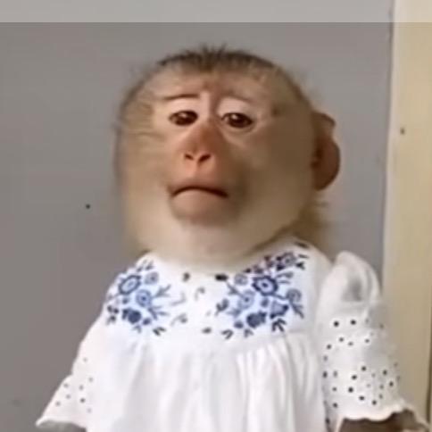 什么意思我请问呢