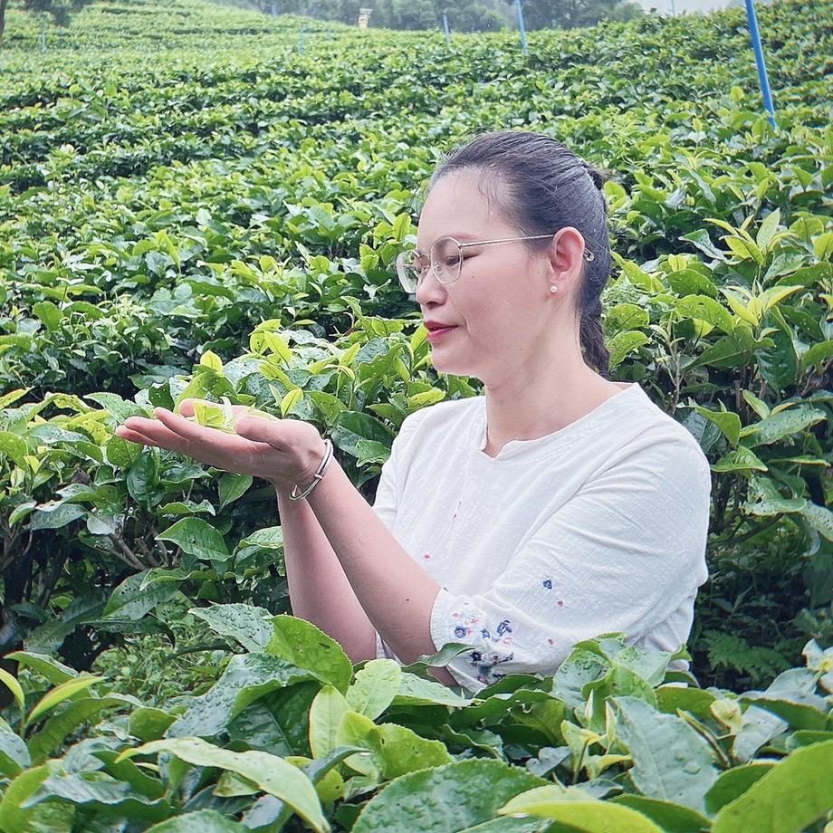 仪香红茶
