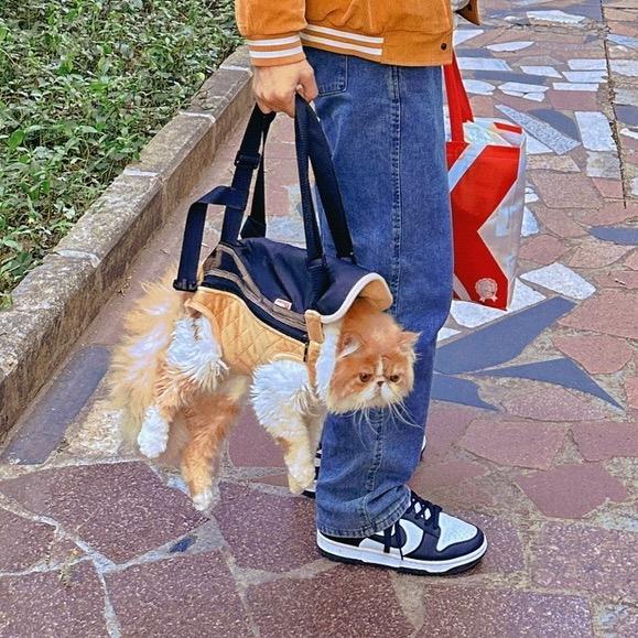 郭大侠不姓江🐱