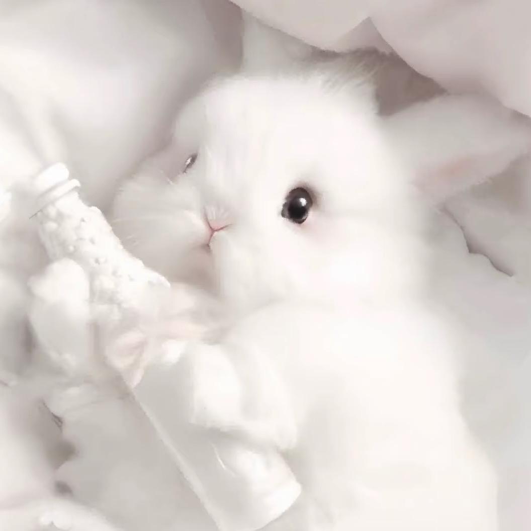 透明