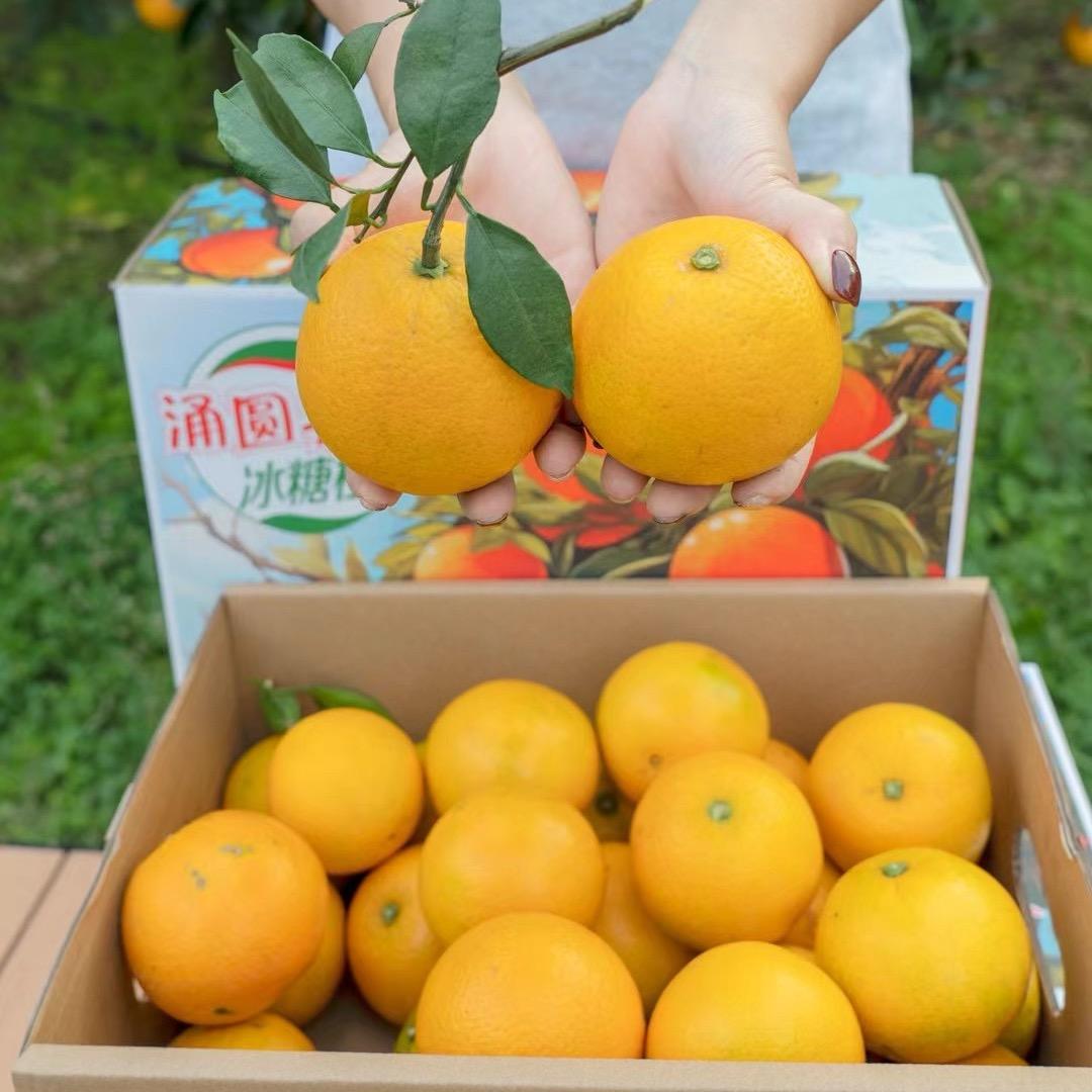 涌圆果业冰糖橙
