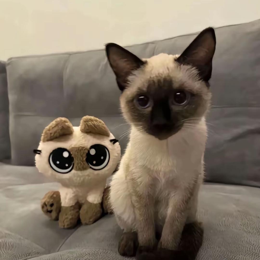 今。