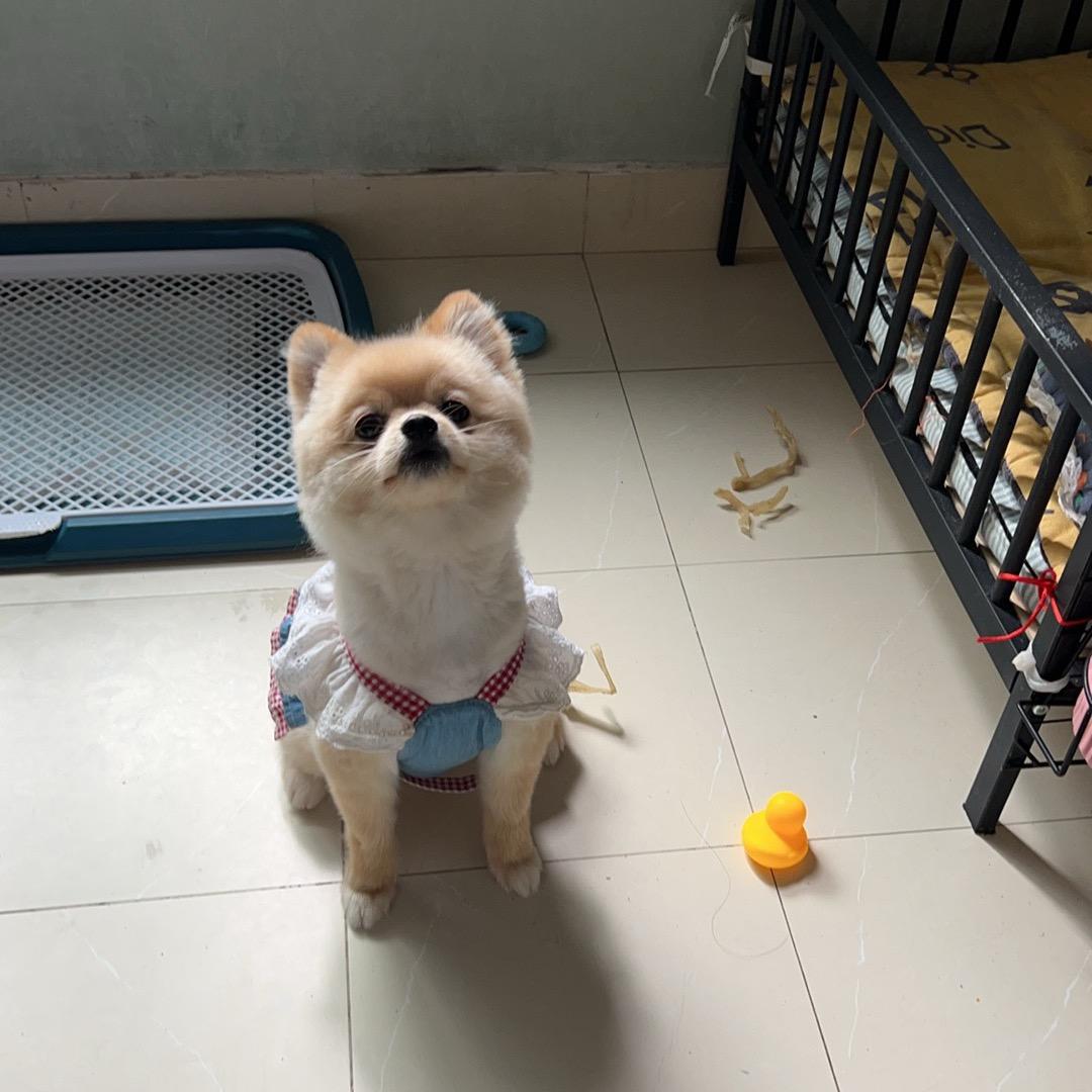 乐-乐