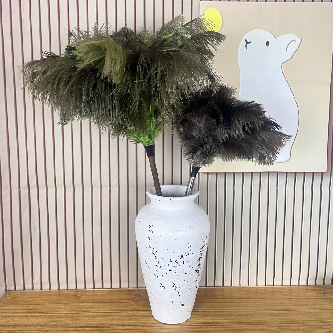 鸵羽毛掸子 ～除尘好帮手