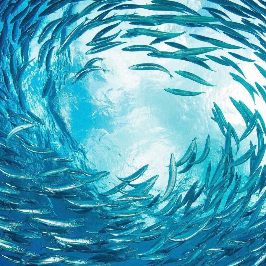 宁静之声·静夜守护者