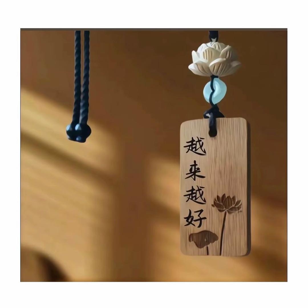 锦鲤koi
