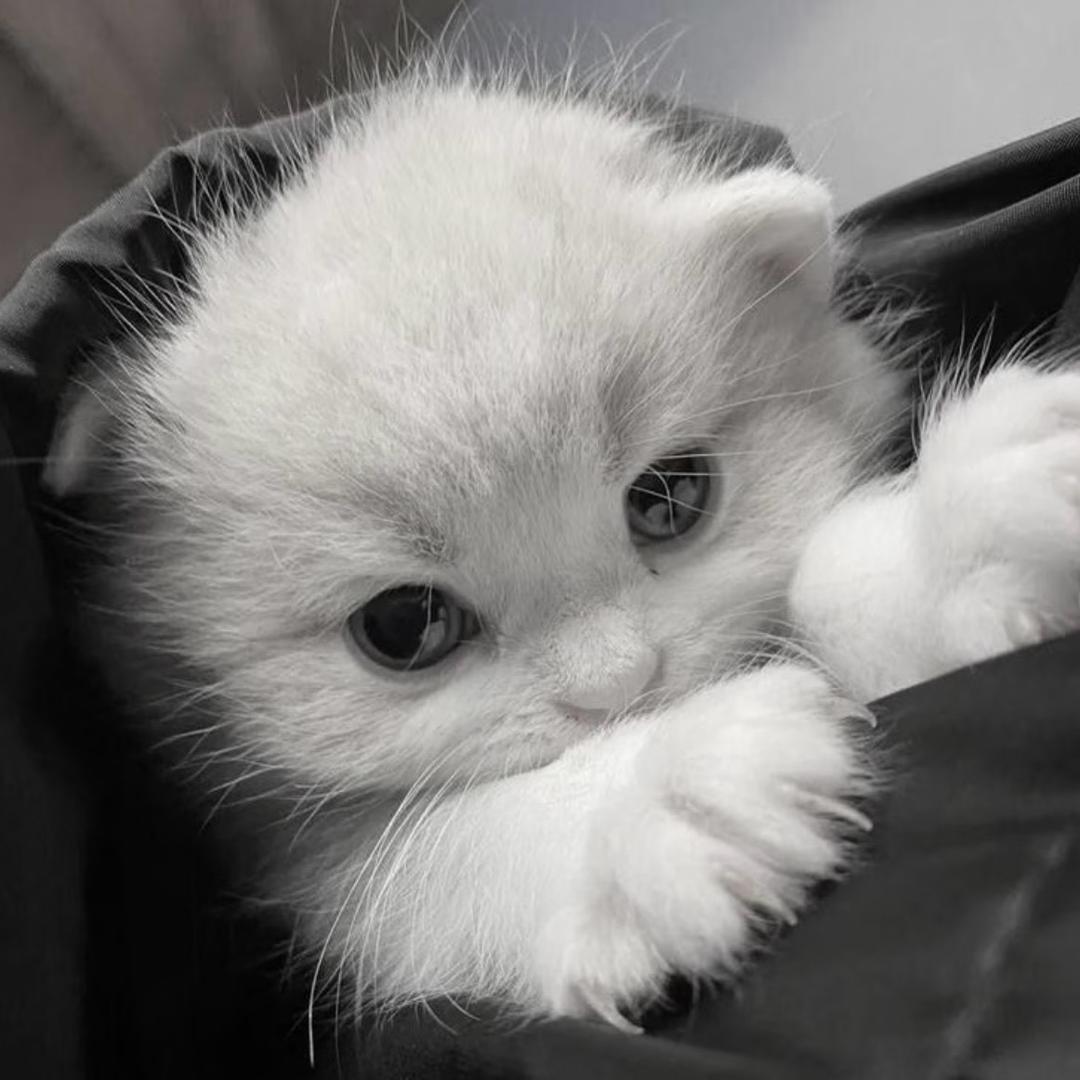 🧊