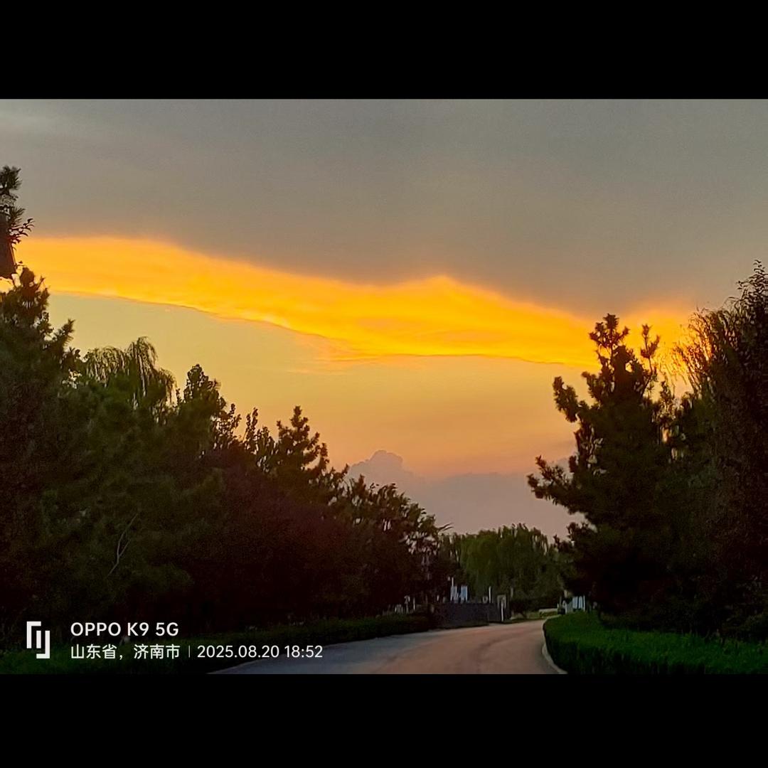 好久不见了