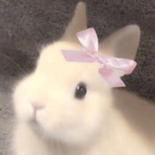 林小小🐽