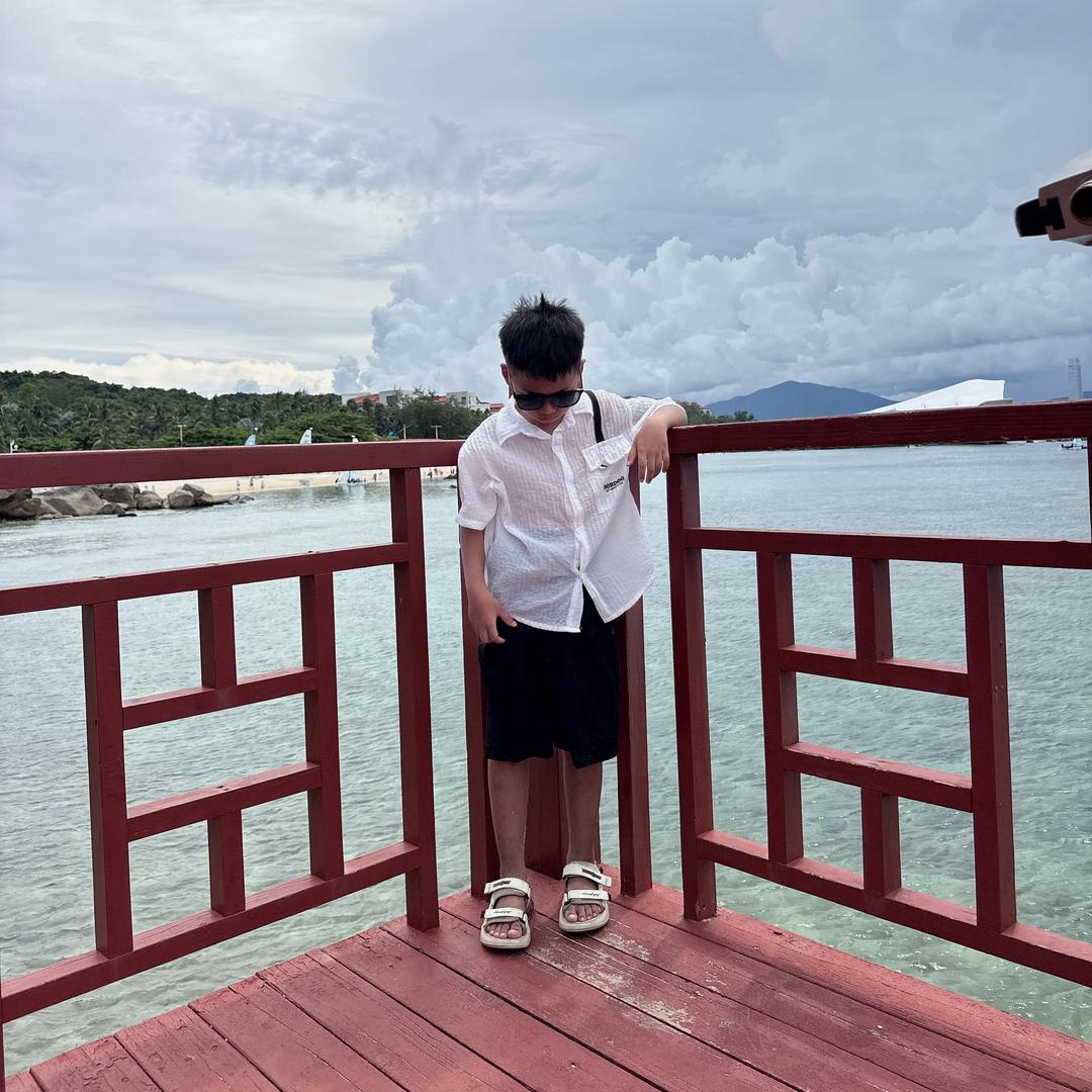 杨柳16