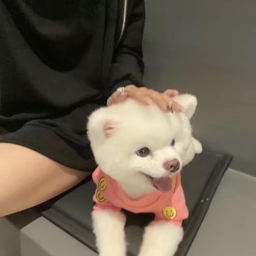 小天才.
