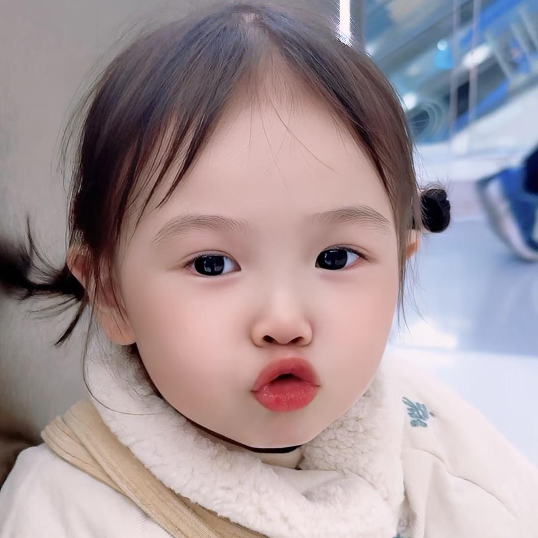 狮酱要滚来滚去