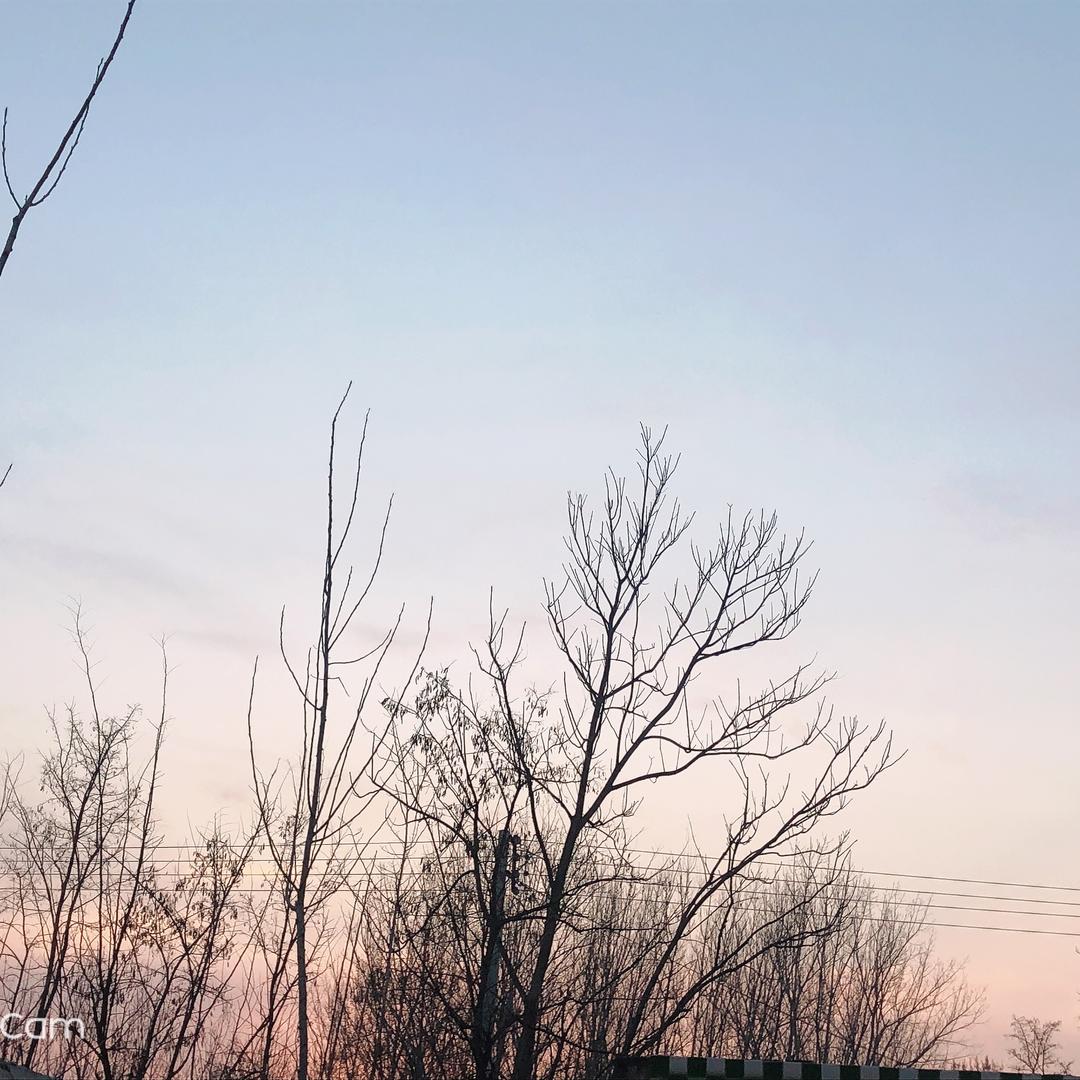 理理不吃米