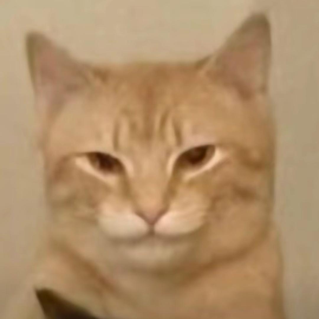 满山的猴子我腚最红头像