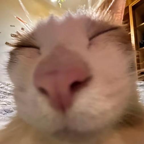/@: