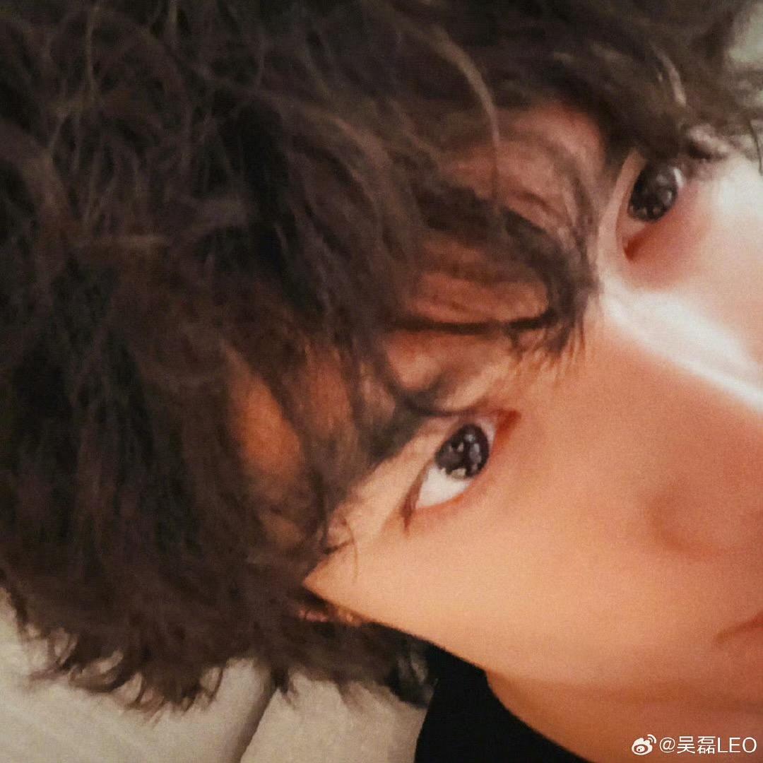 凡星星LEO