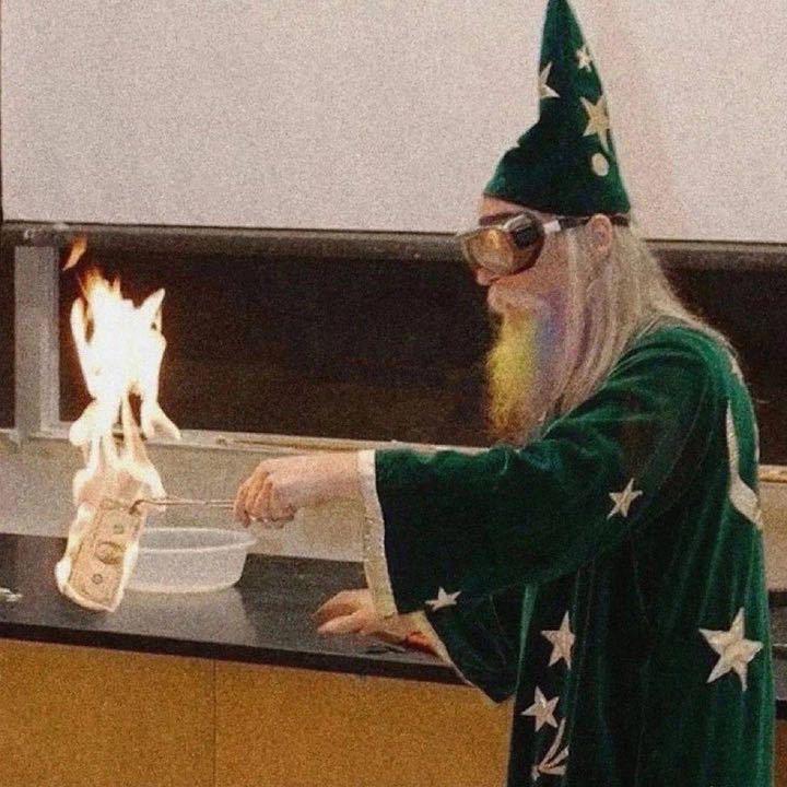 自由的小猫不叫流浪猫