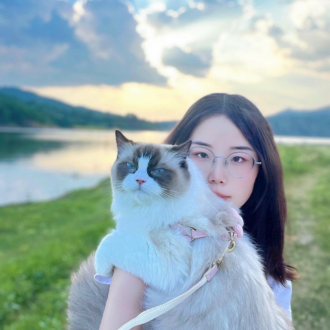 明天见.
