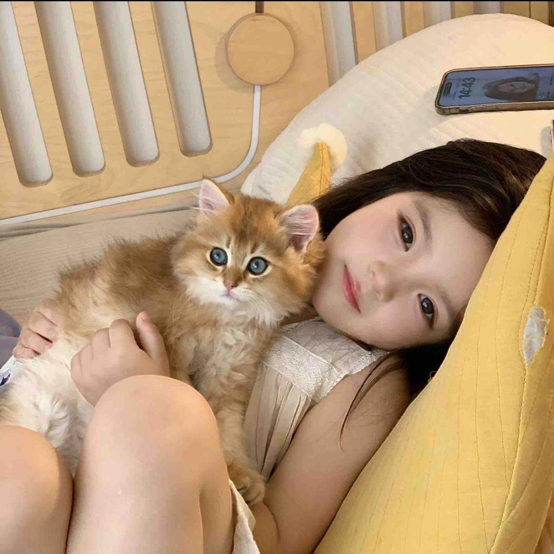 嘉