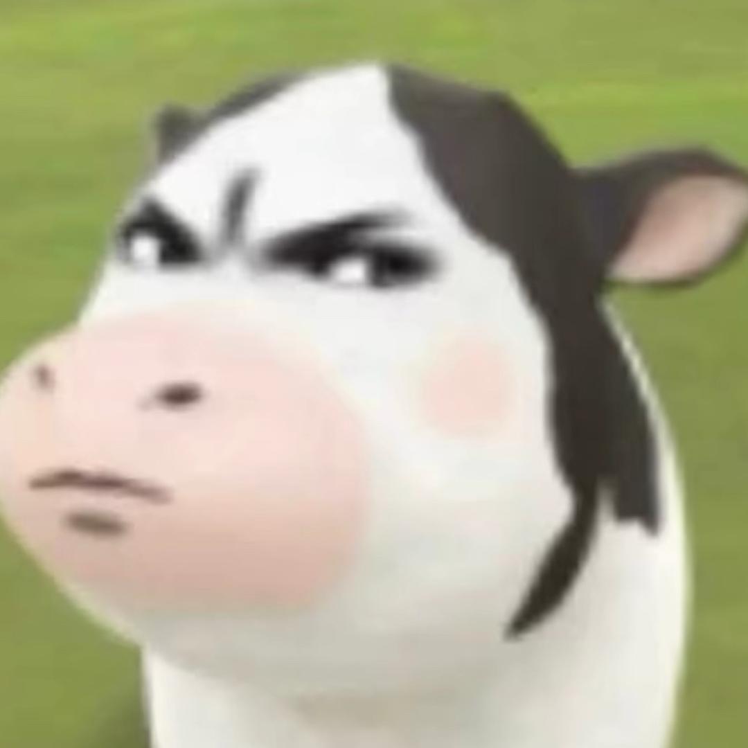 琦