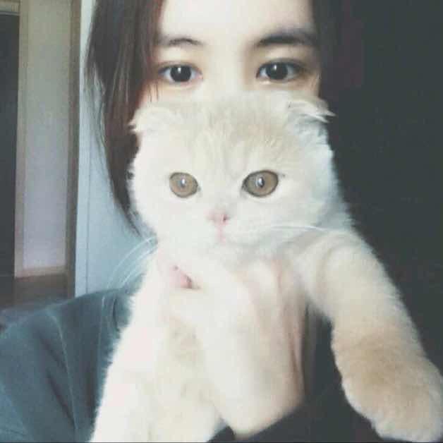 佐佐