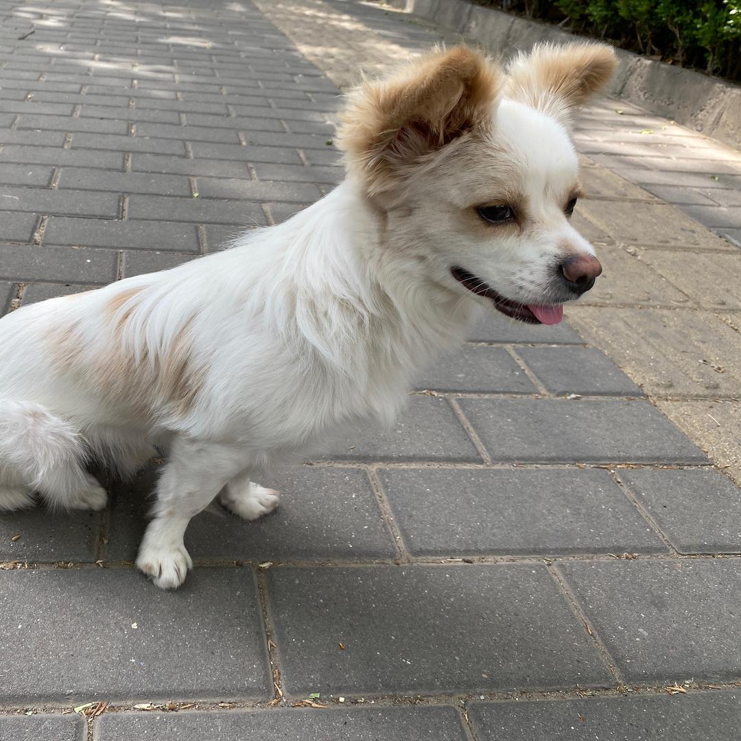 出发啦头像
