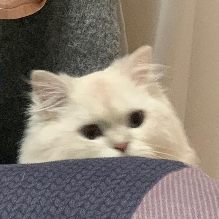 方兄