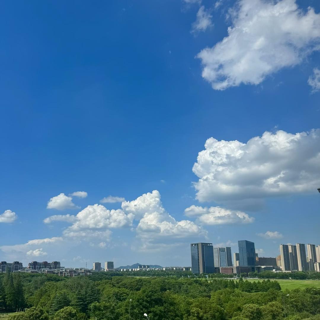 鱼儿水中游