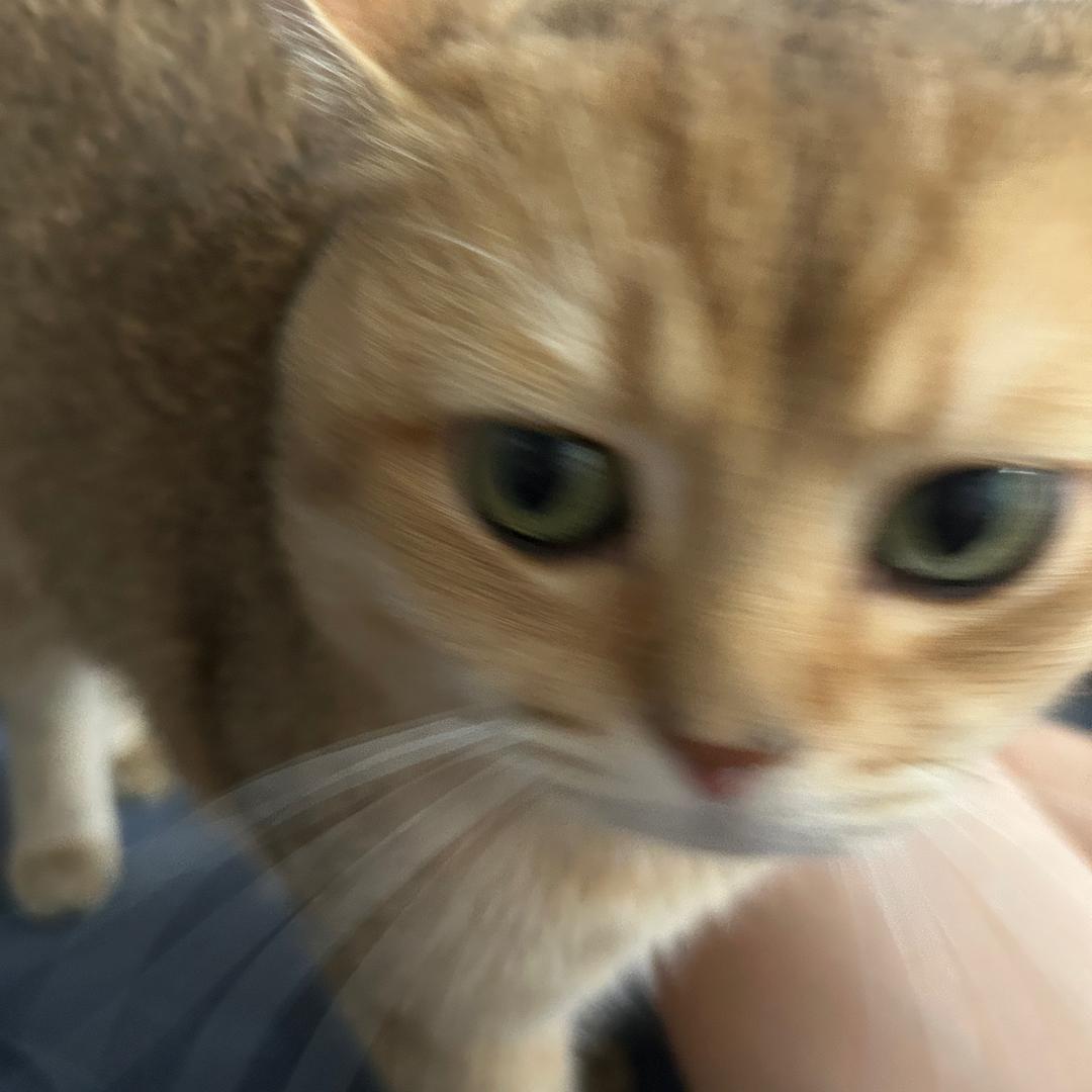 牛逼