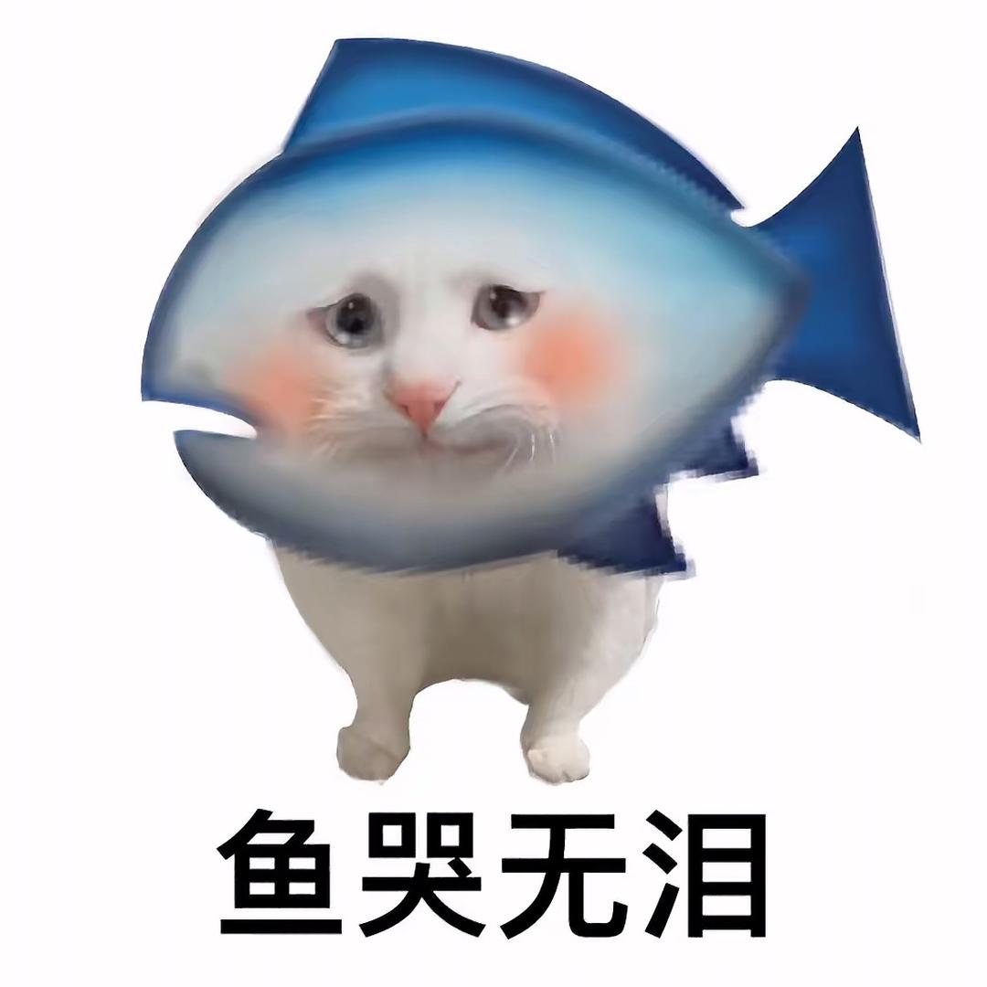 小鱼干🐟
