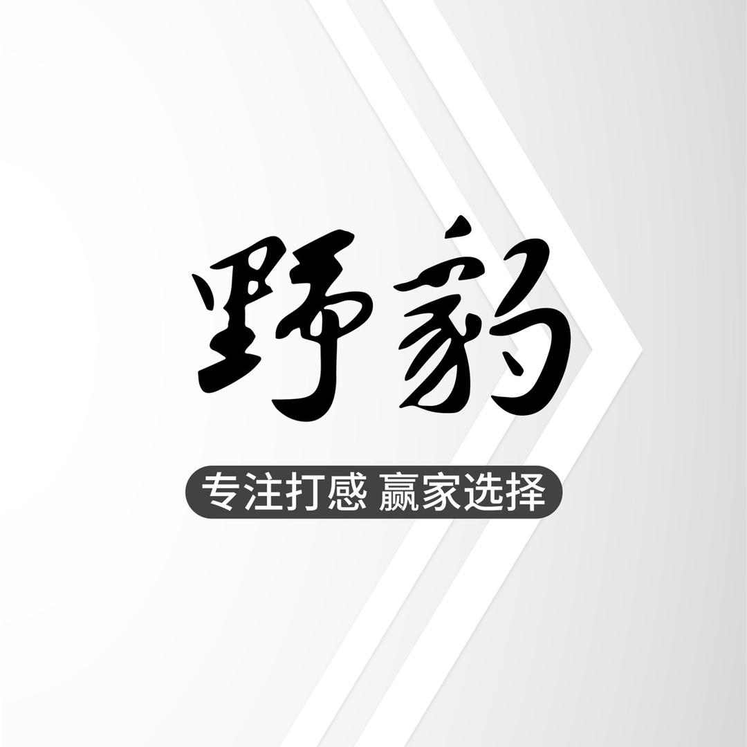 野豹台球杆1号店