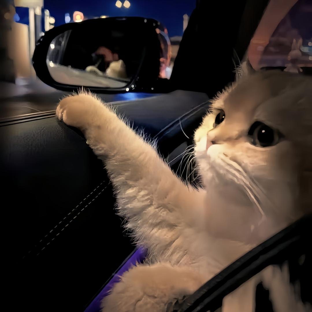 负词