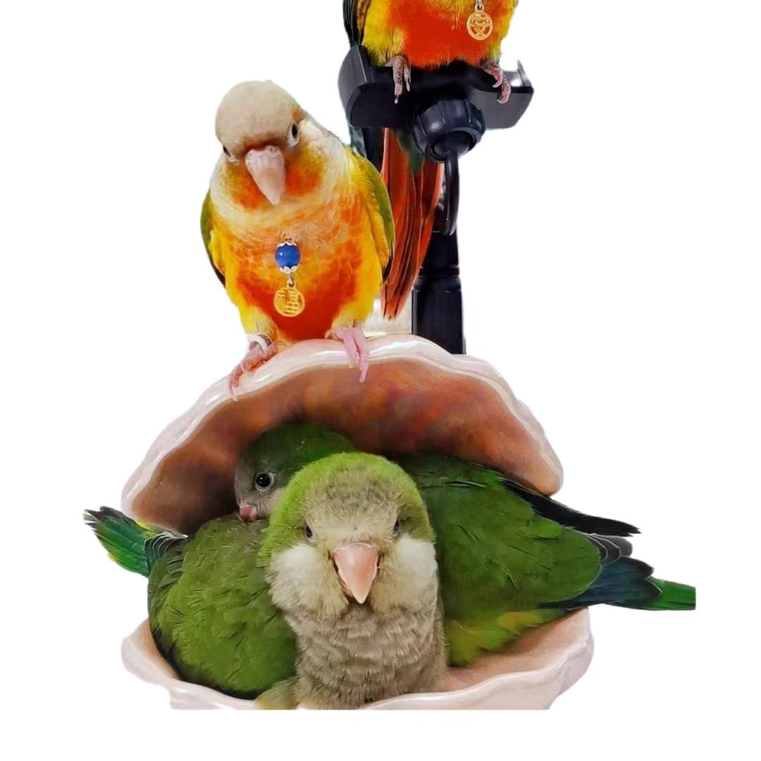 小喇叭…啦啦啦