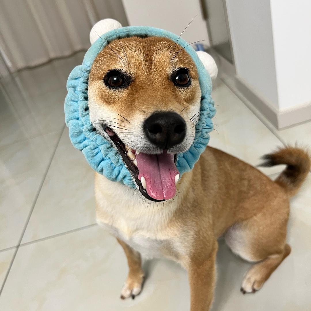 玛奇玛