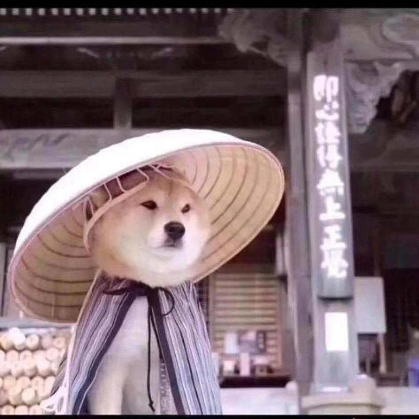 冬瓜.