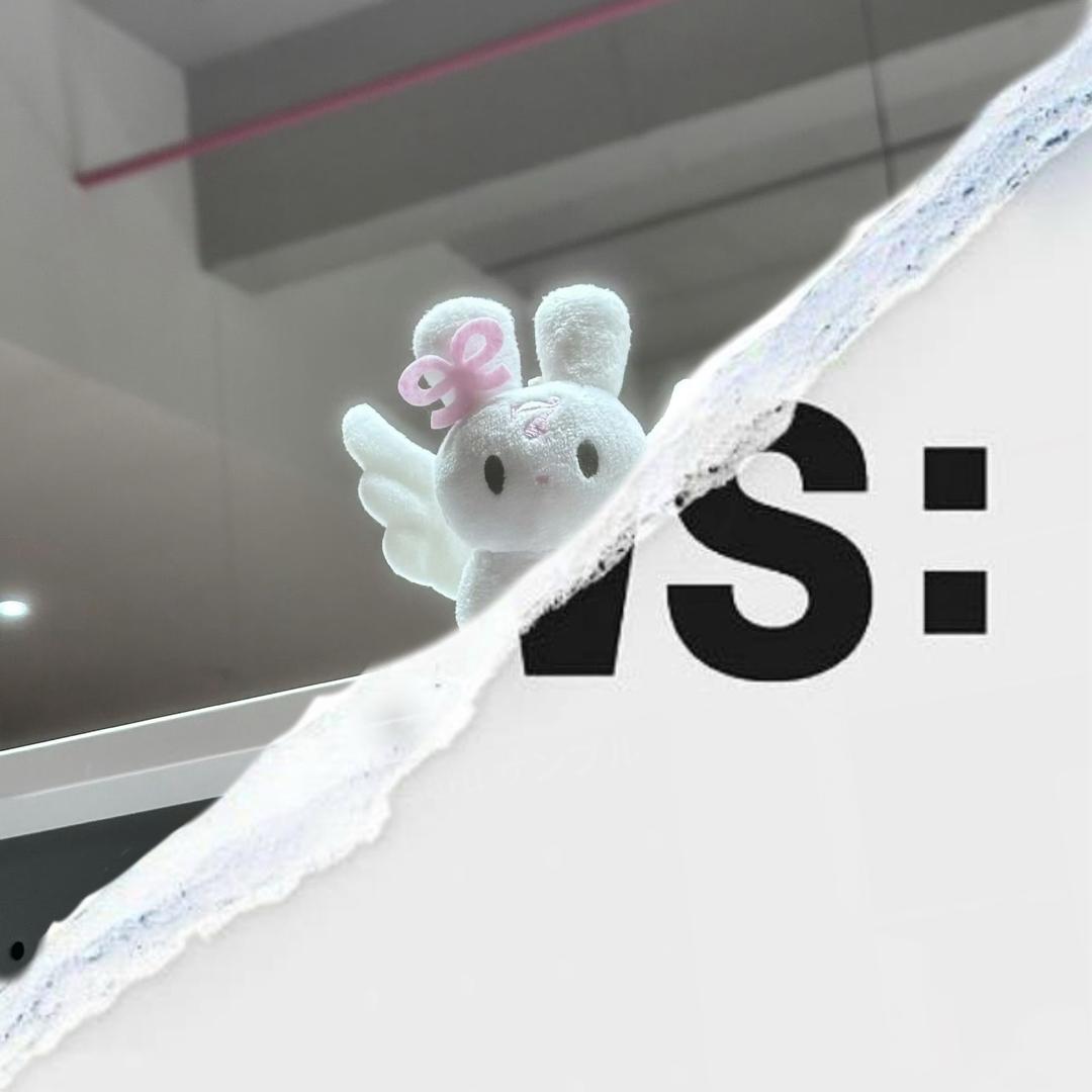 我的ID是礼山小兔🐰