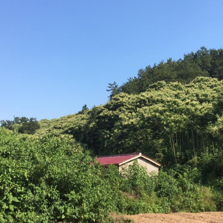 清空账号
